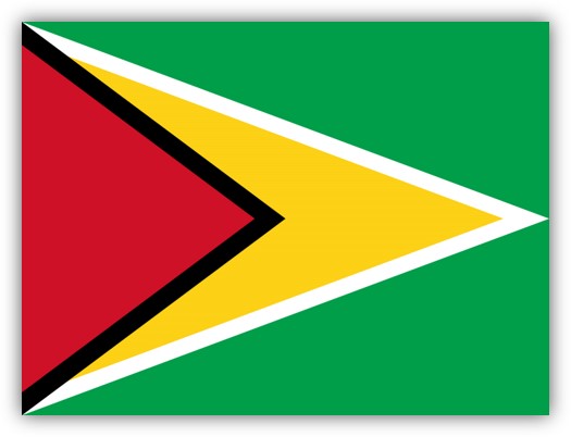 ART Accepts TREES Document Submitted by Guyana